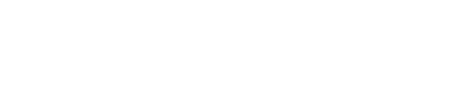 Logotipo do Peoplenet